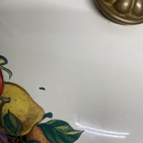 Fissler Asta Lincoware Casserole Dish Cornucopia Fruit Enamelware Dutch Oven - Picture 11 of 17